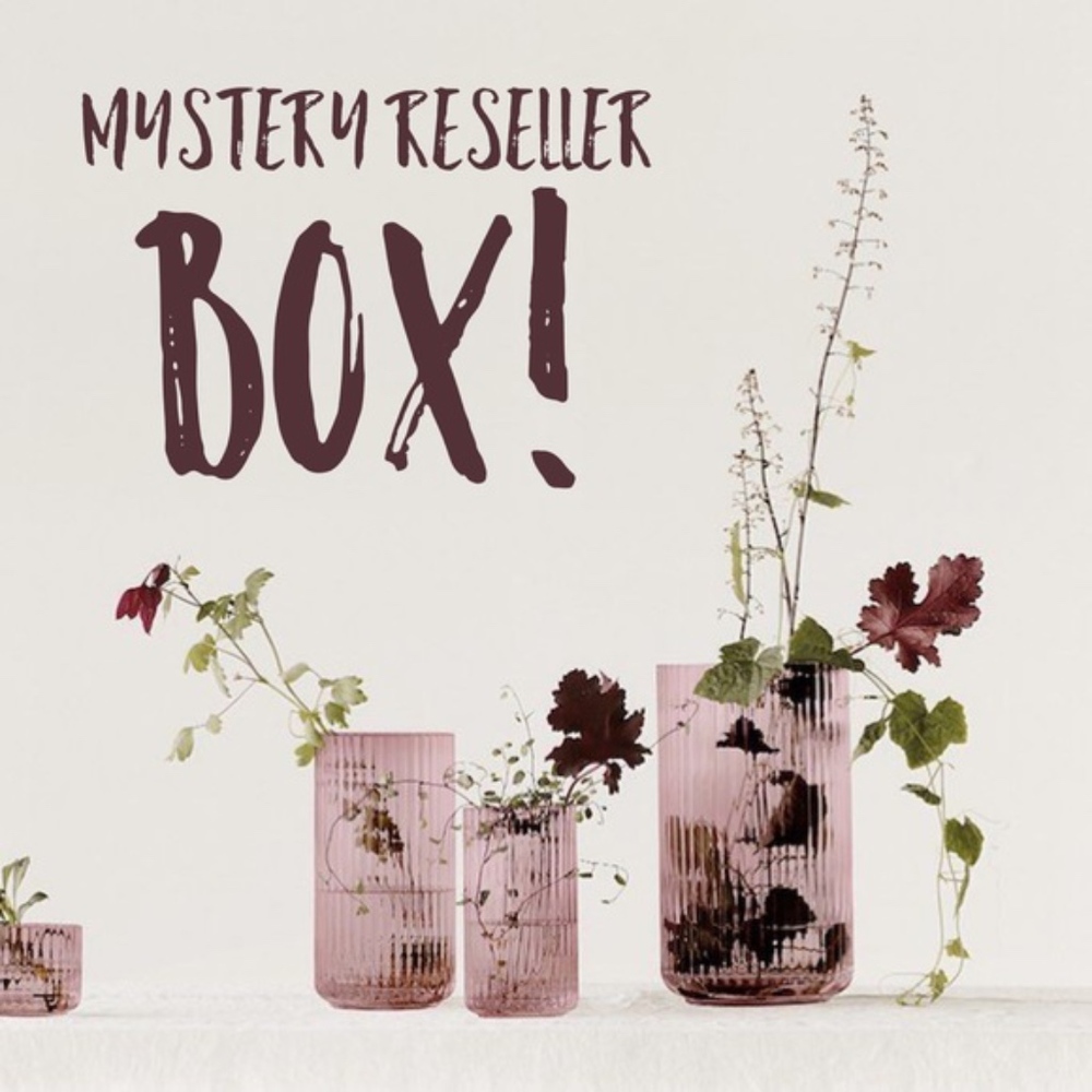 Mystery Reseller Box!